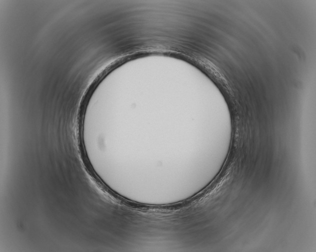 X0000113110942200909251049