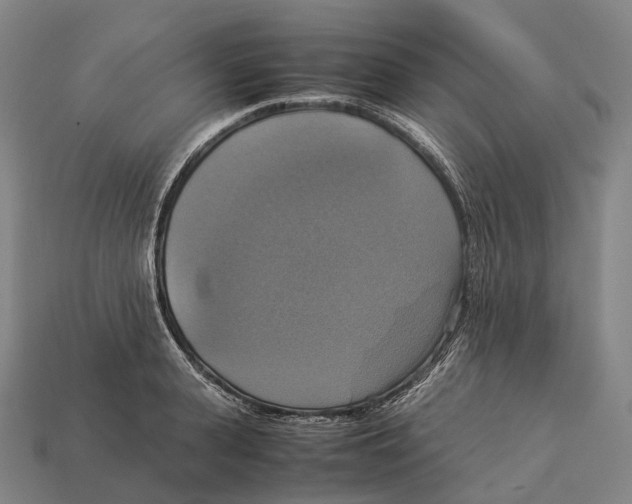 X0000113110943200909251049