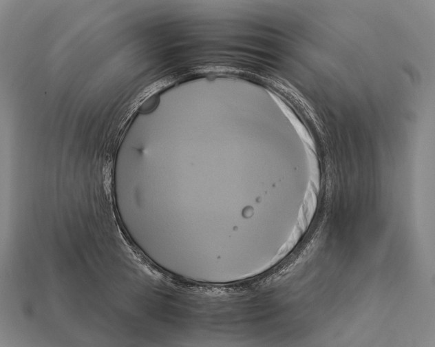 X0000113110945200909251049