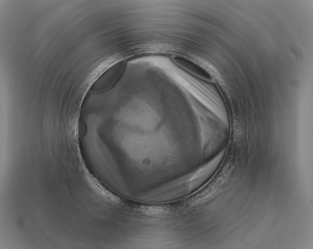 X0000113110946200909251049
