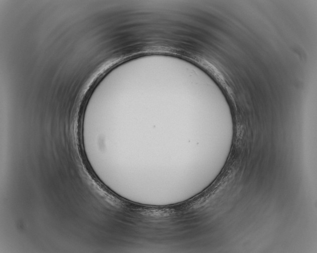 X0000113110947200909251049