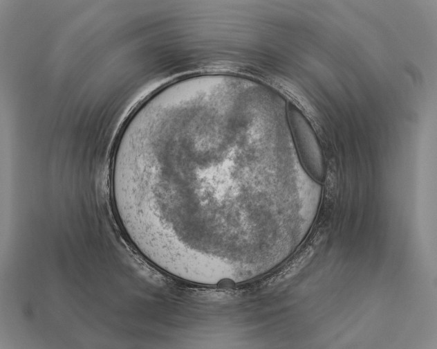 X0000113110948200909251049
