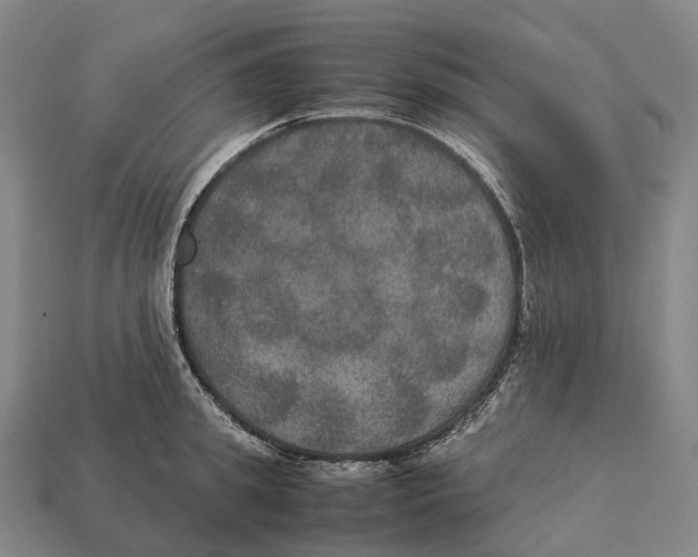 X0000113110949200909251049