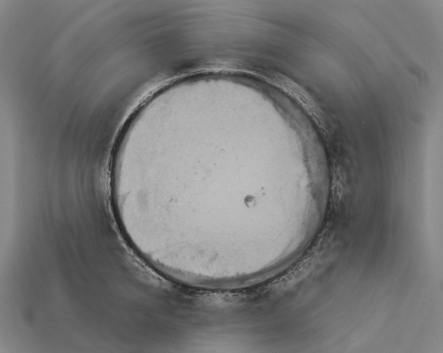 X0000113110950200909251049