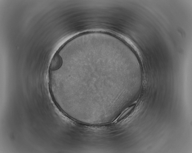 X0000113110951200909251049