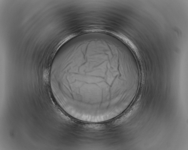 X0000113110953200909251049