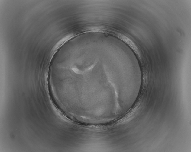 X0000113110954200909251049