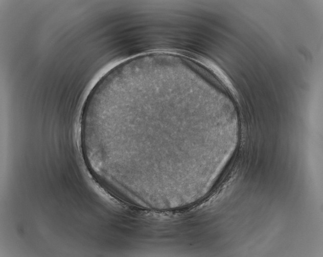 X0000113110955200909251049