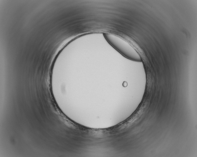 X0000113110956200909251049