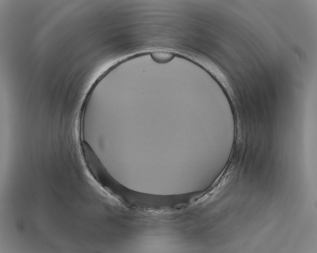 X0000113110958200909251049