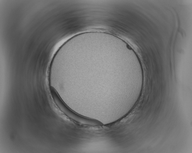 X0000113110960200909251050