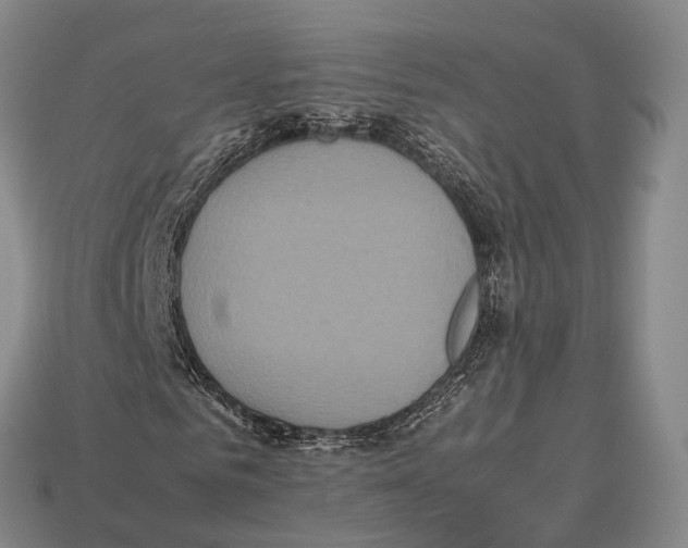 X0000113110961200909251049