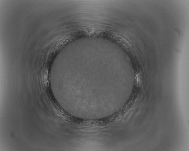 X0000113110963200909251049