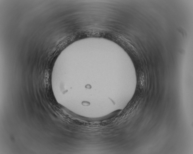 X0000113110964200909251049