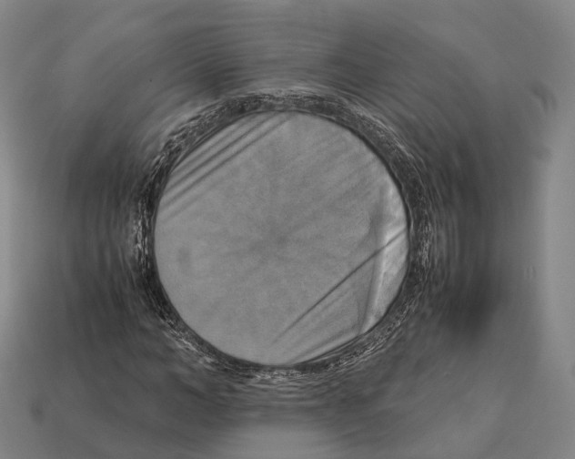 X0000113110966200909251049