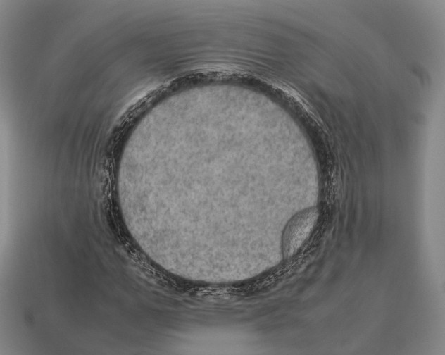 X0000113110967200909251049