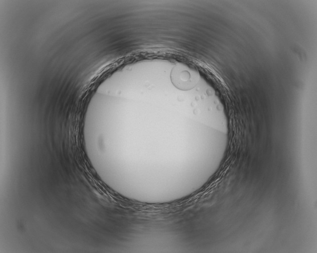 X0000113110968200909251048
