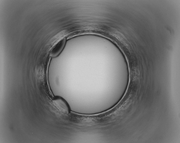X0000113110969200909251048