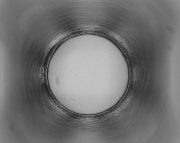 X0000113110970200909251048