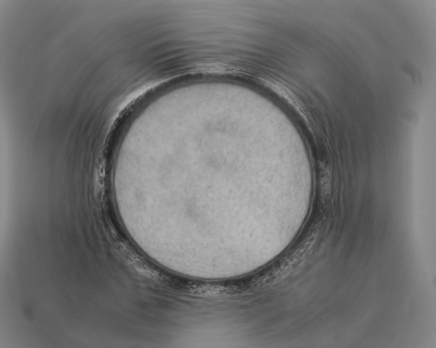 X0000113110971200909251048