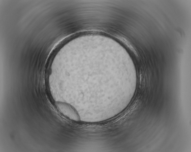 X0000113110972200909251048