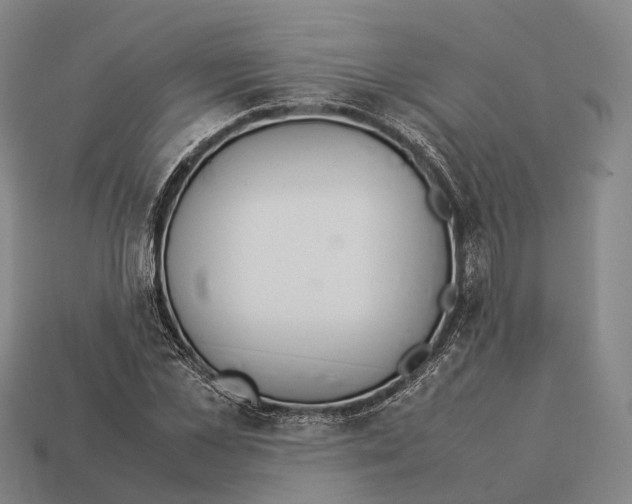 X0000113110973200909251048
