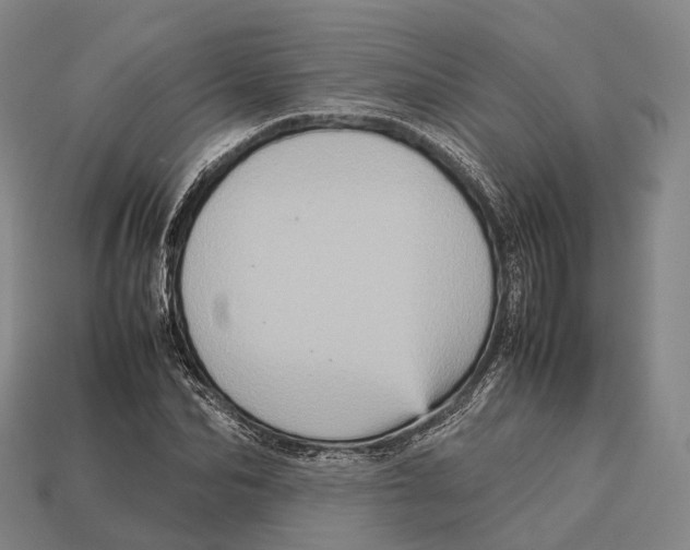 X0000113110974200909251048