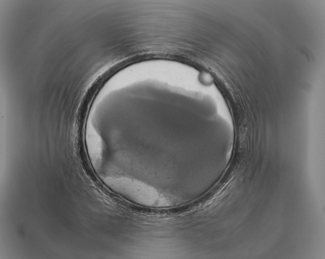 X0000113110975200909251048