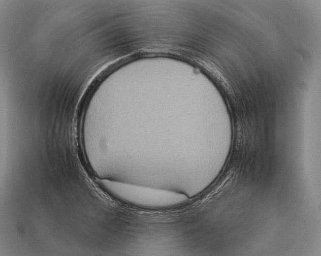 X0000113110976200909251048