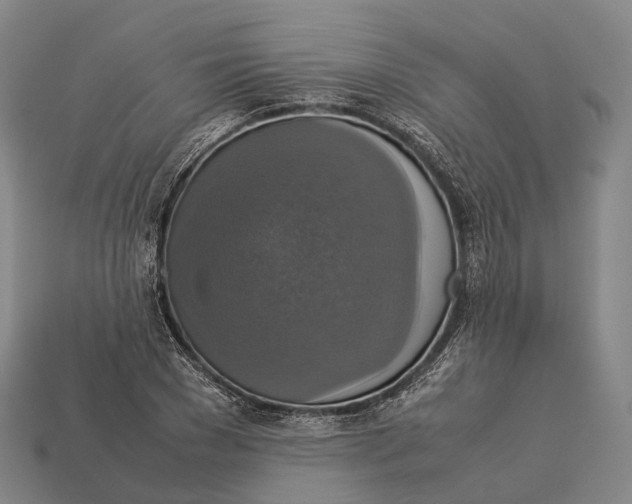 X0000113110977200909251048