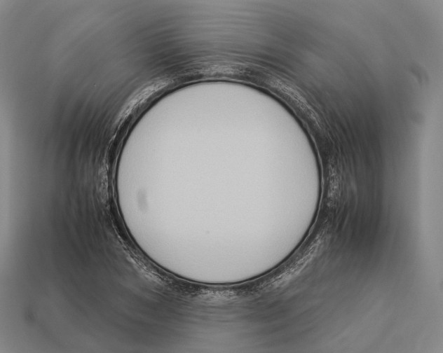 X0000113110978200909251048
