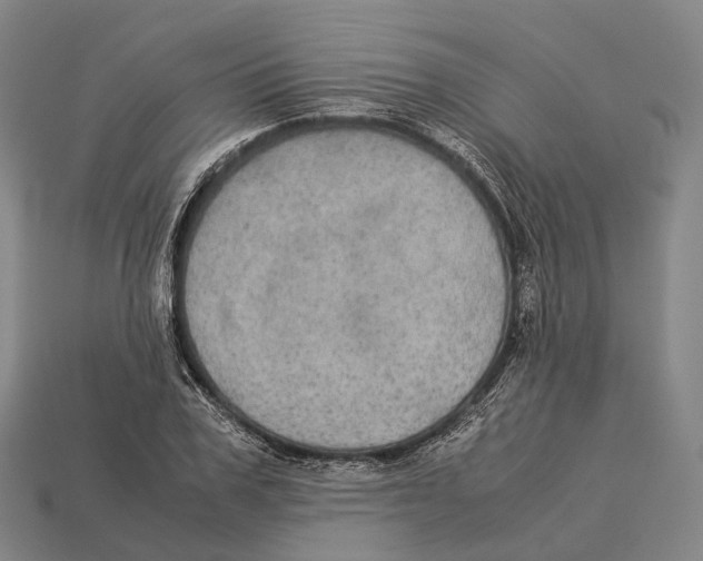 X0000113110979200909251048