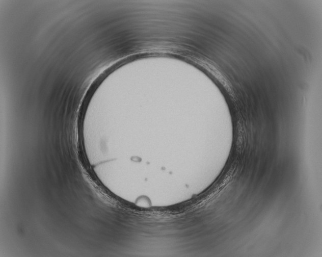 X0000113110980200909251048