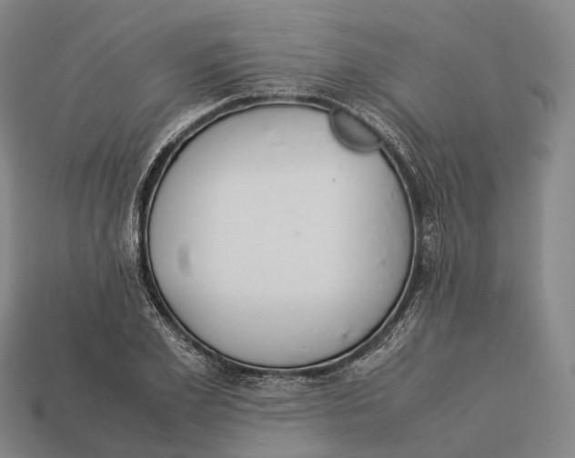 X0000113110981200909251048