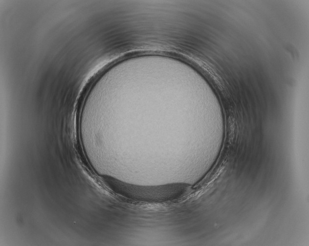 X0000113110982200909251048