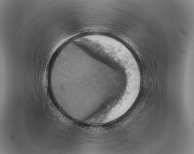 X0000113110983200909251048