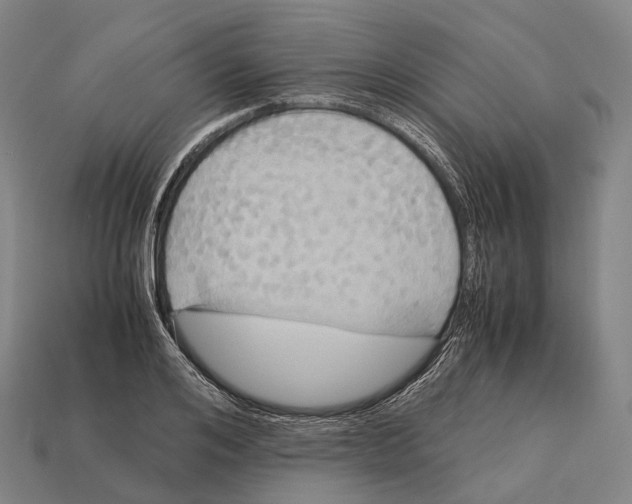 X0000113110984200909251048
