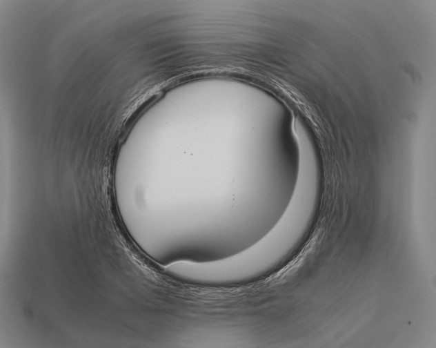 X0000113110985200909251048