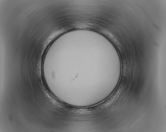 X0000113110986200909251048