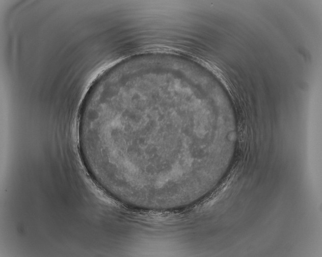 X0000113110987200909251048