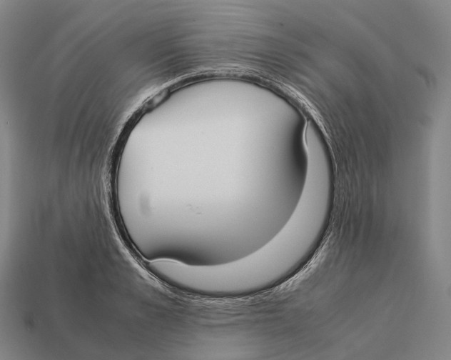X0000113110989200909251048