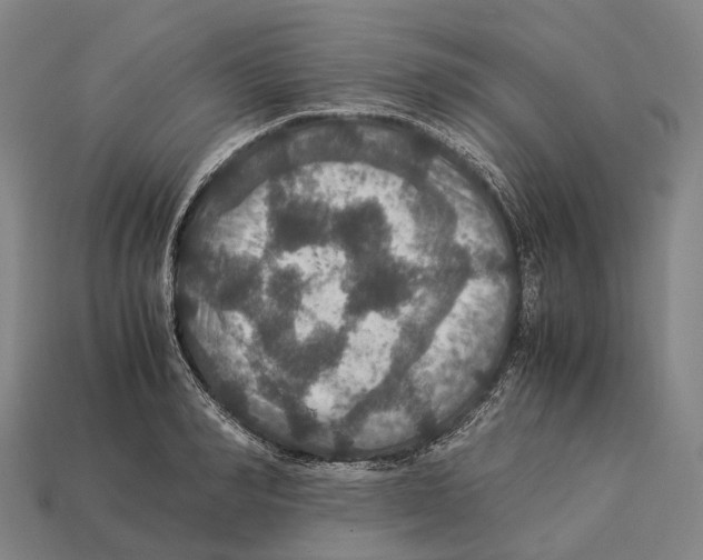 X0000113110990200909251048
