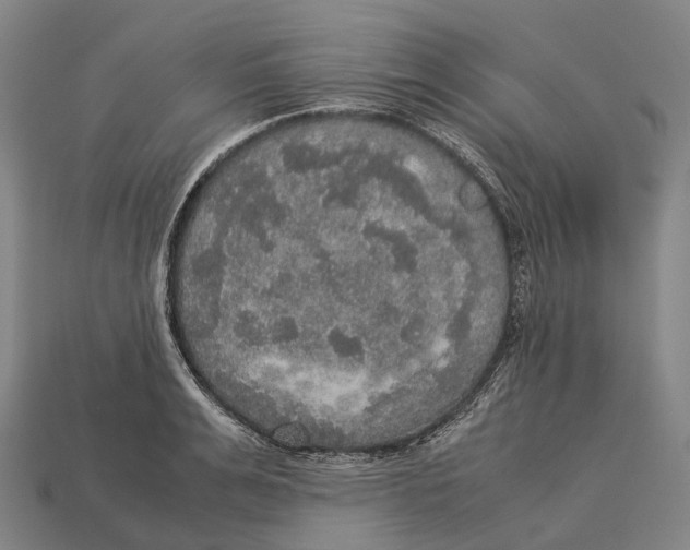 X0000113110991200909251048