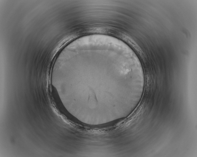 X0000113110994200909251048