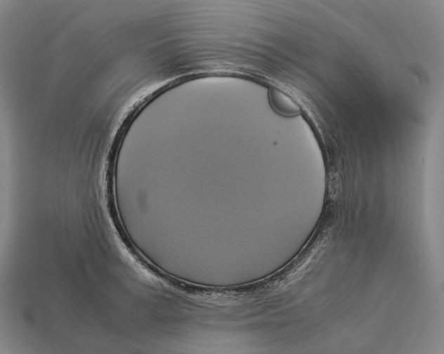 X0000113110995200909251048