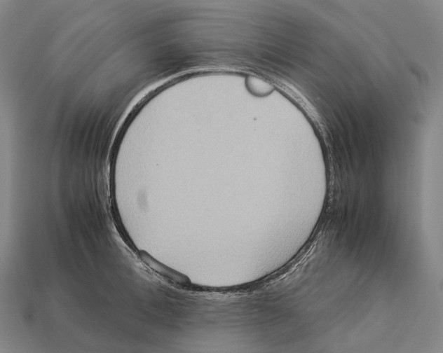 X0000113110996200909251048