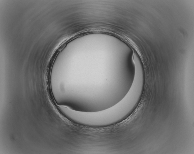 X0000113110997200909251048