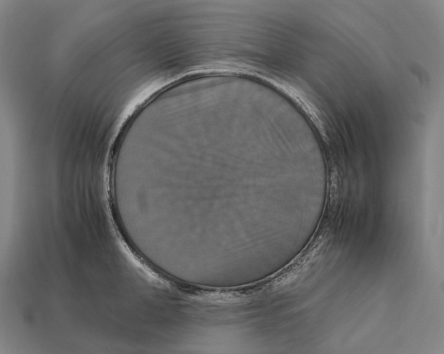 X0000113110998200909251048