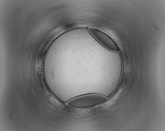 X0000113111001200909251048