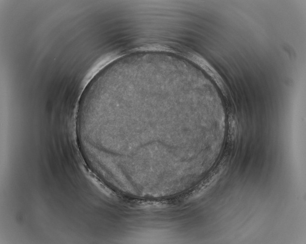 X0000113111002200909251048